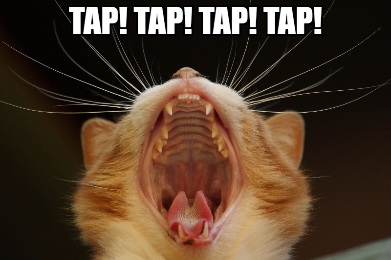Meme Monday - TAP, TAP, TAP